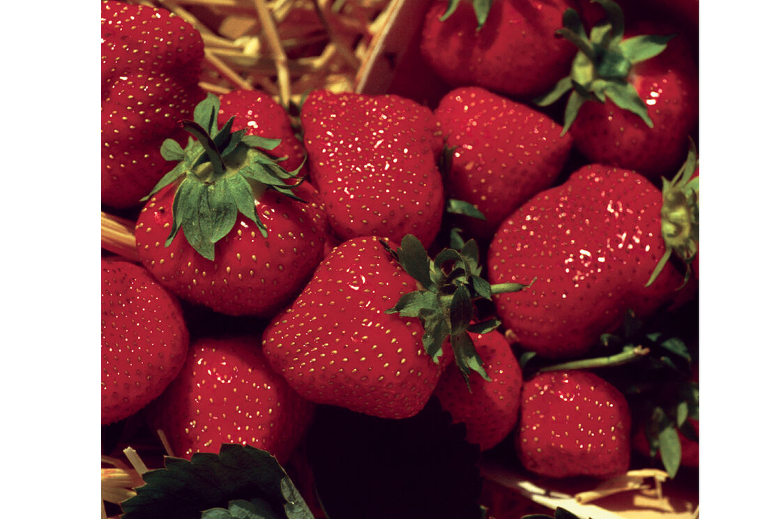 TreeYo Strawberry-Jewel